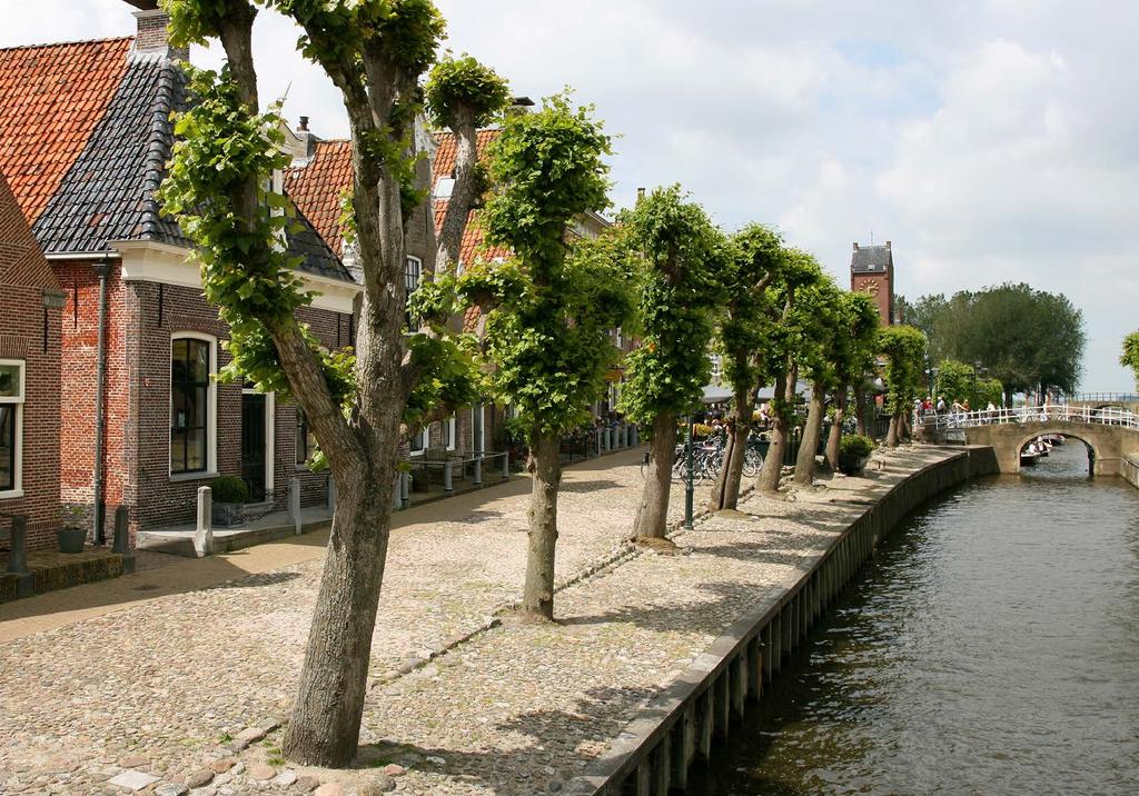 Omgeving Kleine pittoreske stadjes van de Elfstedentocht zoals