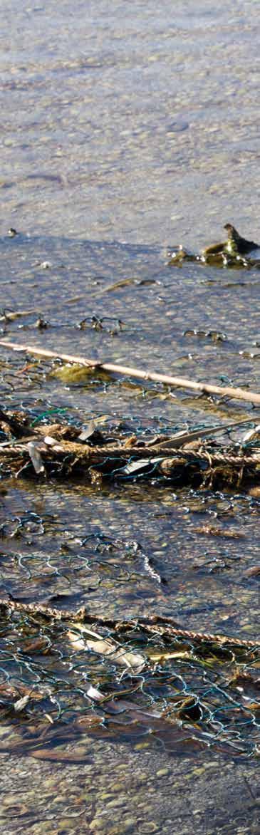 Bijlage I Regels voor de organisatie De vissersschepen worden geselecteerd in overleg met de visserijsector en havenautoriteiten. De vissersschepen krijgen wekelijks big-bag(s) aan boord.