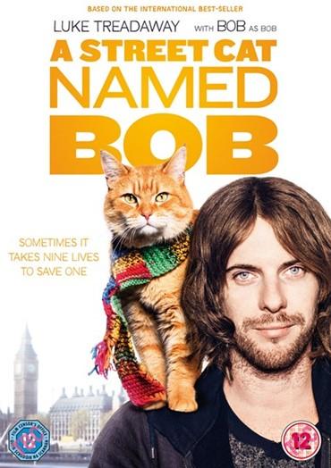 FILM: A street cat named Bob 7 11 2017 - ter drapiers Na een moeilijke jeugd, heeft James Bowen het leven als dakloze achter zich gelaten en probeert hij af te kicken van zijn heroïneverslaving.