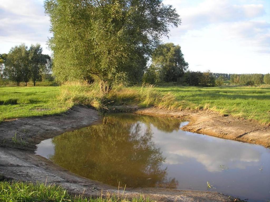 poelen tijdstip najaar