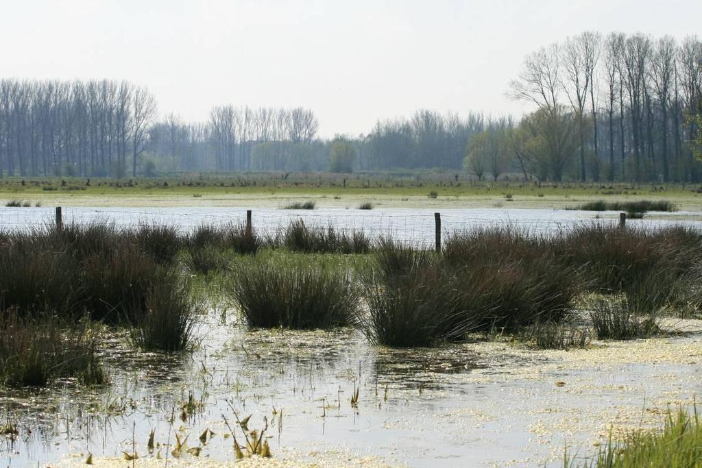 rationeel waterverbruik Infiltreren