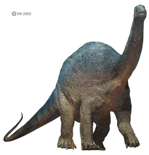 Argentinosaurus Allergrootste dinosauriër die ooit op deze
