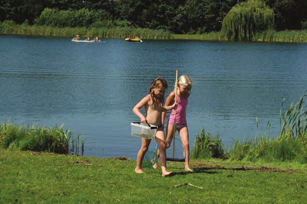 De s Morgens ontbijten met vers afgebakken grenzend een groot wandelbos van ruim kinderen staat er op ieder veld een speeltoestel vijver.