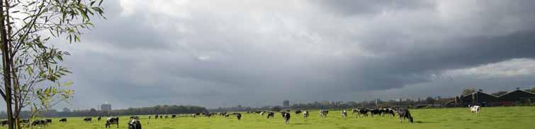 ga je buiten schilderen, kies dan een verf die ons klimaat optimaal trotseert: de oerhollandse buitenverf van Wijzonol. Hét merk van de professionele schilder.