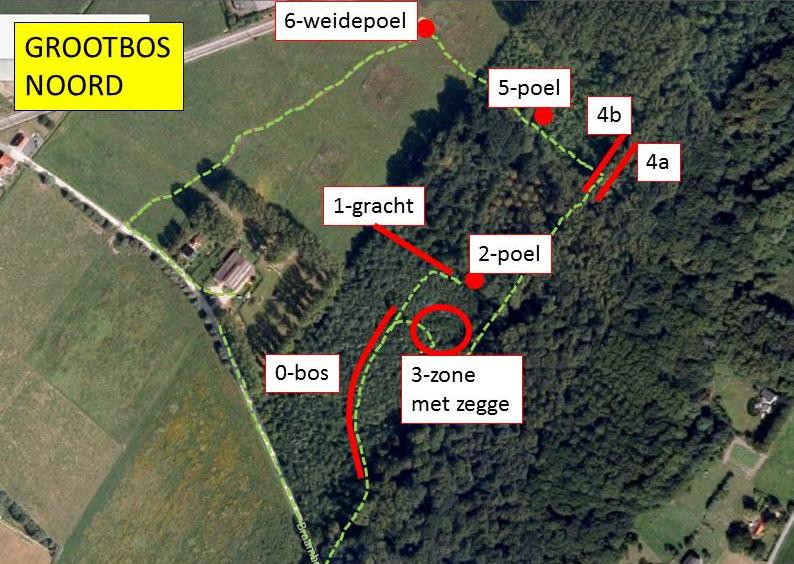 Onderzochte locaties voormiddag: In de voormiddag werd het broekbosgedeelte van het Grootbos Noord onderzocht.