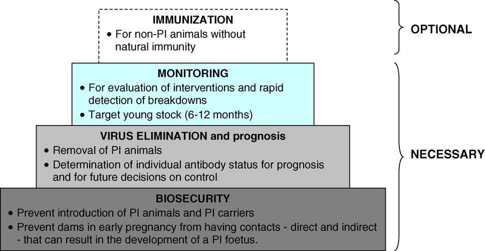 Fig. 2 Algemeen model voor de systematische controle van BVDV (uit Lindberg en Houe, 2005). 3.1 Bioveiligheid Het doel van bioveiligheid op een bedrijf is om (her)-infectie met BVDV te voorkomen.