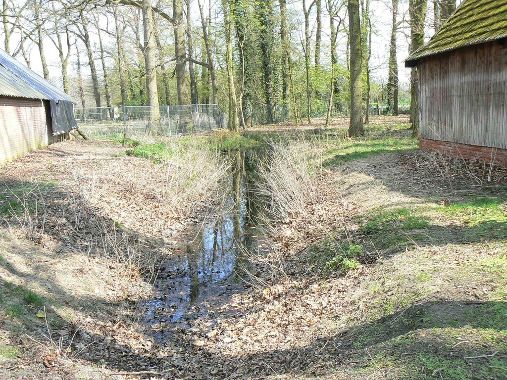 beschermingsregime vallen, geldt een algemene vrijstelling voor het verstoren en/of aantasten van vaste rust- en verblijfplaatsen.