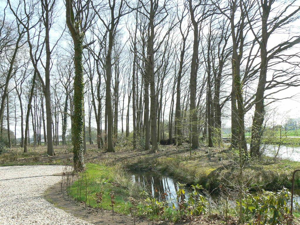 Het plangebied ligt opgesloten tussen de Albergerweg, de Bornsche Beek en een achterliggende es.