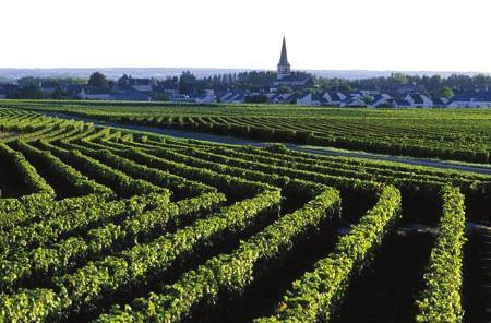 VINS - WIJNEN 5, 71 CHÂTEAU LA BRAULTERIE DE PEYRAUD Blaye Côtes de Bordeaux - 2011 France Frankrijk Vous trouverez dans ce vin un bon équilibre, une finesse des tanins amenée par le Merlot et