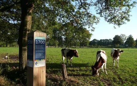 14. Einde weg (L): Oude Deventerweg Jaarpaaltjes 1689-1732 Eeuwpaal 1700 Al in 1700 gaan er stemmen op tegen de slavernij. Wat vind je van de argumenten van de tegenstanders?