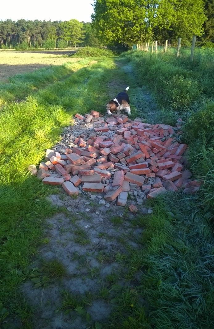 drukken op onze leefomgeving. Het Schoon Volk veegt niet alleen voor zijn eigen deur maar neemt de straat, berm of wegel erbij.