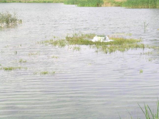 HET GEKOZEN ALTERNATIEF Grondwateraanvulling gecombineerd met waterhergebruik Natuurlijke grondwateronttrekking wordt verminderd Integratie mogelijk met ecologisch beheer van duinen Maximaal