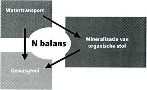 Tabel 8.2. Kenmerken van enkele proces georiënteerde modellen die relevant zijn en ook gebruikt zijn in de beschrijving van biologische of geïntegreerde landbouwsystemen.