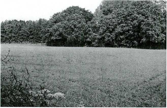 Tabel 9.6. Vruchtwisseling en bemesting voor beheersgronden op zand met 2 van de 3 jaar graan en een maximale fosfaat aanvoer van 40 kg P20 5/ha.