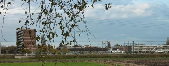 Bijlage B Figuur 8a-8d. Foto s van de locatie Ruwiel (VII). Vergelijk ook de in het hoofdrapport opgenomen foto s van de locatie. B2.8a. Zicht op tankstation Ruwiel vanaf het oosten over de locatie.