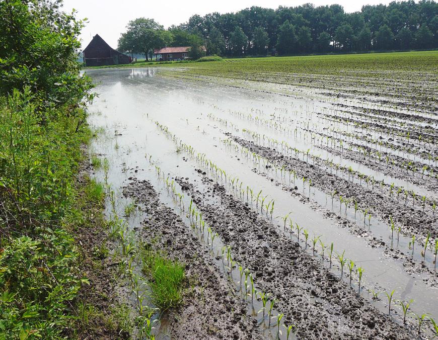 De wateroverlast van juni 2016 mag echter geen vrijbrief zijn om maatregelen door te voeren zonder samenwerking en draagvlak bij de agrarische sector.