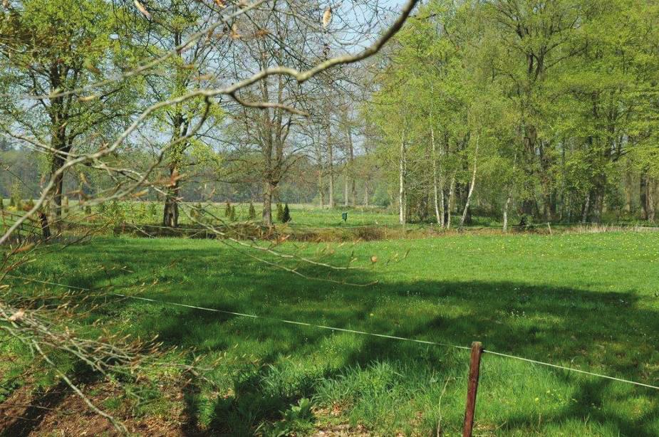 1.4 Nesten, rustplaatsen en (functionele) leefomgeving Habitat De kerkuil is een soort die voorkomt in cultuurland met gras- en bouw-landen die begrensd worden door kruidenrijke akkerranden,