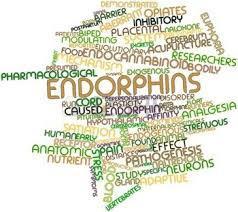 Endorfine Endogeen geproduceerde opioide peptide Pijnstillende eigenschappen Fungeert
