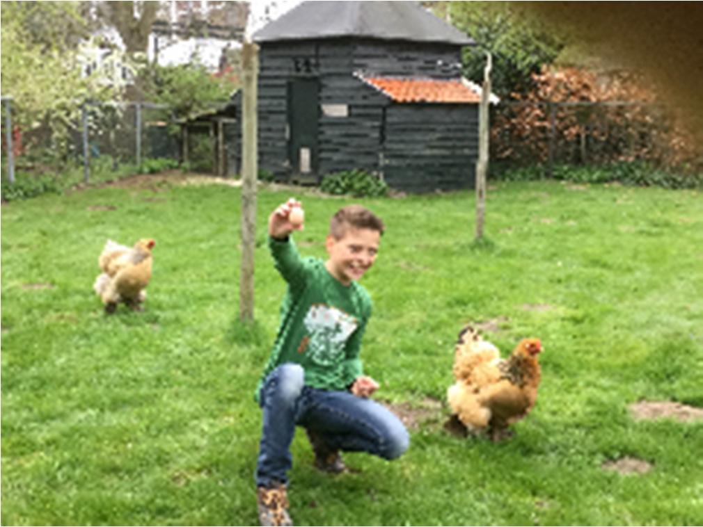 Groep 8 werkt in de winter, soms minder zichtbaar, ook aan kennis over de natuur. Wij proberen bewust om te gaan met het milieu.