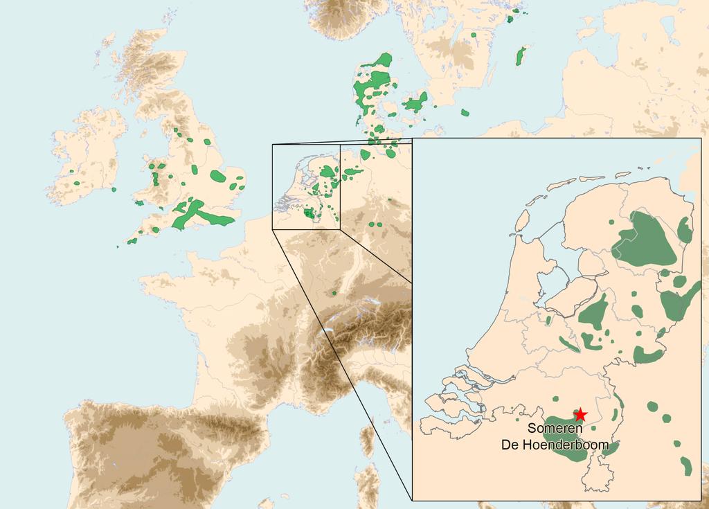 Celtic fields in Brabant: wat stuifmeel en zaden kunnen vertellen Celtic fields in Brabant: wat stuifmeel en zaden kunnen vertellen Stijn Arnoldussen 1, Mans Schepers & Arnoud Maurer Raatakkers en