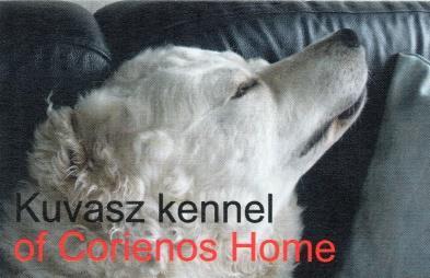 KUVASZ KENNEL OF CORIENOS HOME Wenst iedereen een sportieve en gezellige clubmatch!