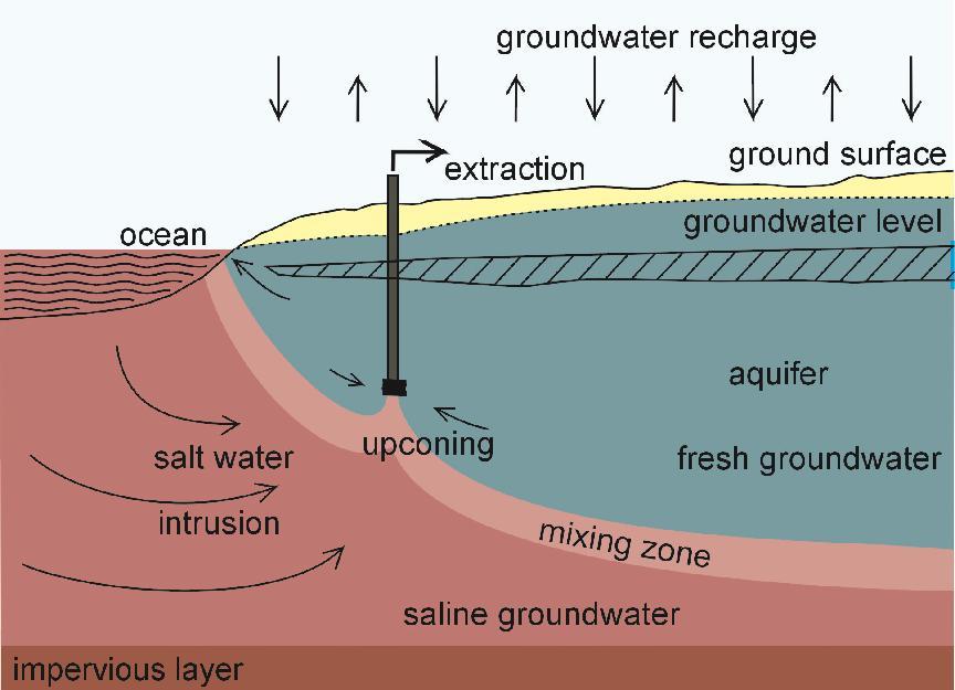 rainwaterlens