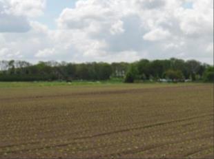 U heeft een bijzonder uitzicht. Rechts ziet u de A15 en het geluidssherm, terwijl links van u de polder Buitenland zich in allerlei gedaanten vertoont, akkers en fruitbomen wisselen elkaar af.