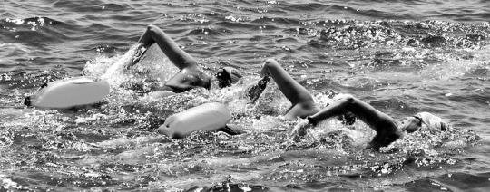 - open - water - swim - training - amsterdam - Waar staat Swimsensation voor?