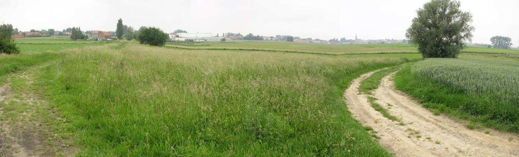 Interessante mix van pioniersvegetatie, bloemrijk grasland, ruigte en struweel met veel vlinders en zangvogels, o.a. Zomertortel, Grasmus en Bosrietzanger.