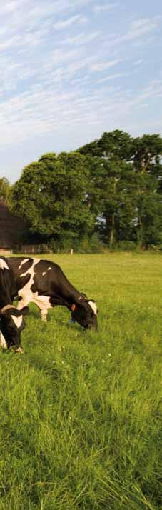 En natuurlijk is dat ook in ons belang want wij willen graag dat de lege gebouwen worden opgeknapt en dat daar weer met veel plezier mensen gaan wonen en werken zodat we op onze beurt verder kunnen