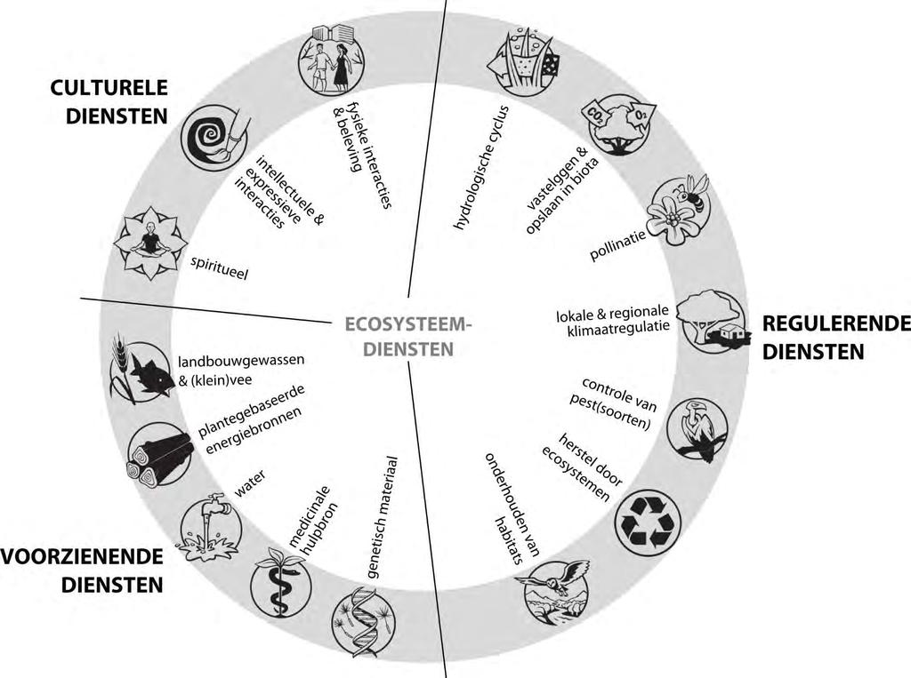 Bron: eigen herwerking van Common International Classification of Ecosystem Services