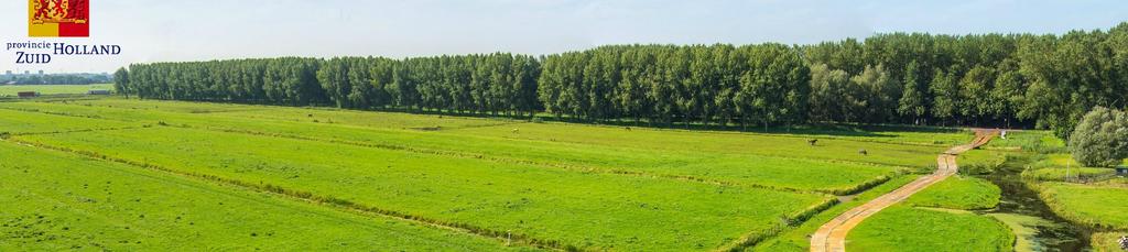 Het plaatsen van geluidwerende voorzieningen is geen bezwaar voor het landschap. Momenteel is er al een groene wand van alle bomen in Vlietland gezien vanuit de Oostvlietpolder.