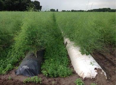 NIEUWS ] System on Forest Genetic Resources) bevat meer dan 3200 van deze genenbewaringsunits. Ook Nederland is onderdeel van dit netwerk.