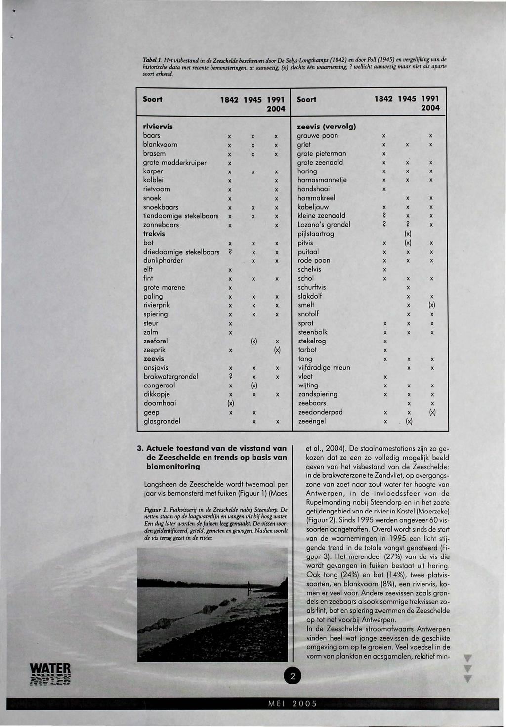 Tabel J. Het visbwand in de Zeescheldt beschreven door De Selys-Longchamps (1842) en door PoU (/945) en vergelijkir.g van de historische data mei reemie bemonstningm.
