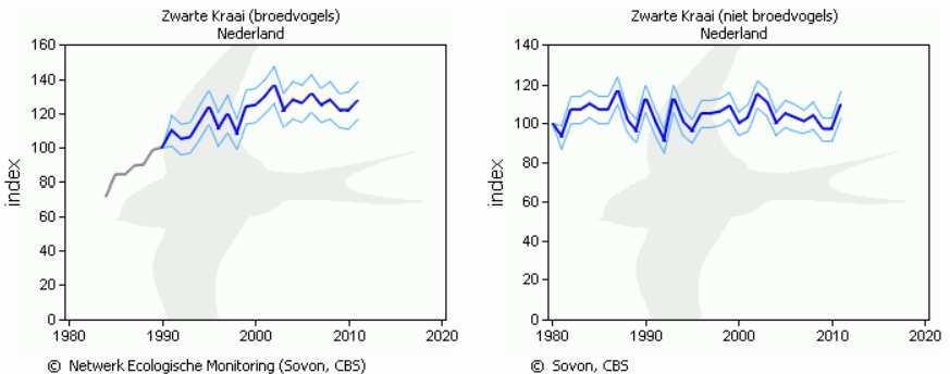 In Nederland is vanaf 1990 een significante toename van het aantal broedvogels opgetreden van <5%, terwijl over de laatste 10 jaren geen significante aantalverandering is opgetreden (figuur 2).