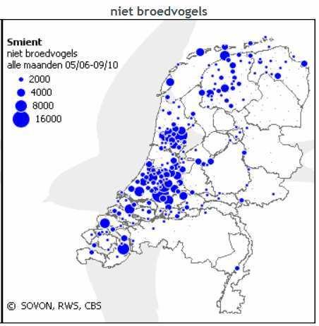 Fig.1. Gemiddeld aantal niet broedvogels smient en Fig.2. Aantalverloop (watervogelmeetnet). Provinciaal De smient is in Groningen een broedvogel, doortrekker en wintergast.