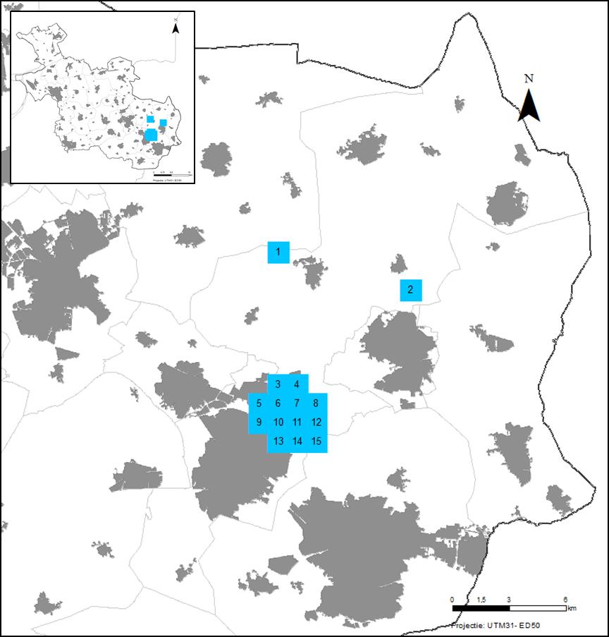 4.4.3 Zechstein zout, Selectie van Zechstein cluster locaties Voor de bouwsteen voor de keuzestrategie zijn alle Zechstein zoutvoerende formaties binnen het Overijsselse grondgebied geselecteerd die