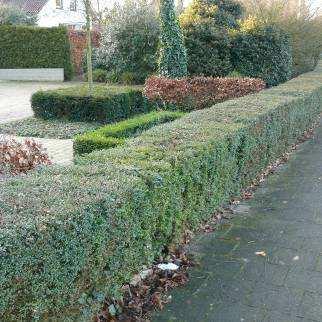 Voor baksteen zijn dit rode en bruine tinten, voor de