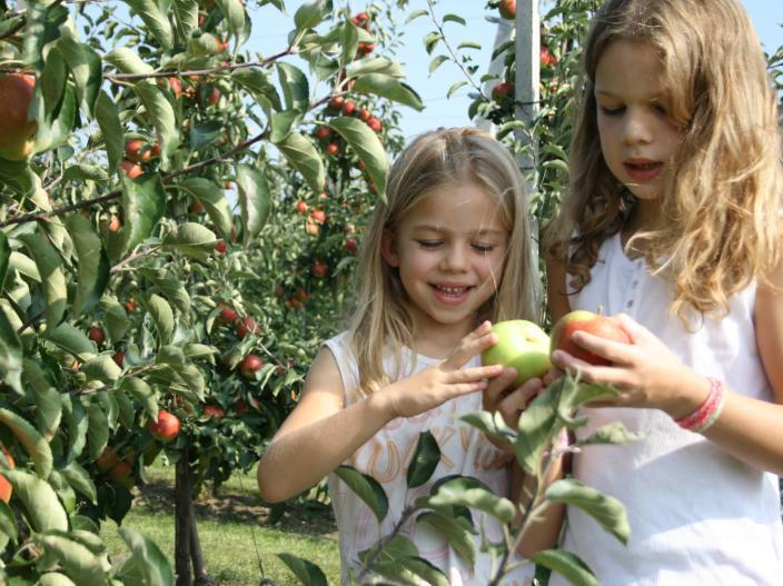 KORT 16 september APPEL- PLUKDAG Een boomgaard bezoeken en zelf appels plukken (of peren, want dat is in veel gevallen ook mogelijk).