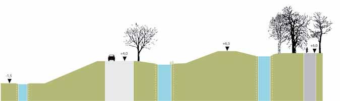 Dankzij de mooie rij abelen op de kruin van de dijk wordt de Maassluissedijk toch als een markant