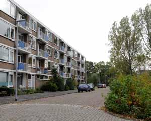 Sluispolder en Vogelbuurt Beschrijving Sluispolder en Vogelbuurt zijn in meerdere fasen gebouwd en hebben korte rijen woningen van één tot twee lagen met of zonder kap in een veelal sobere