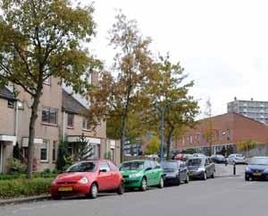 Steendijkpolder Gebied 9 Welstandscriteria Bij de beoordeling van bouwplannen wordt in samenhang met de beschrijving getoetst aan de hand van de volgende criteria: Ligging gebouwen maken deel uit van