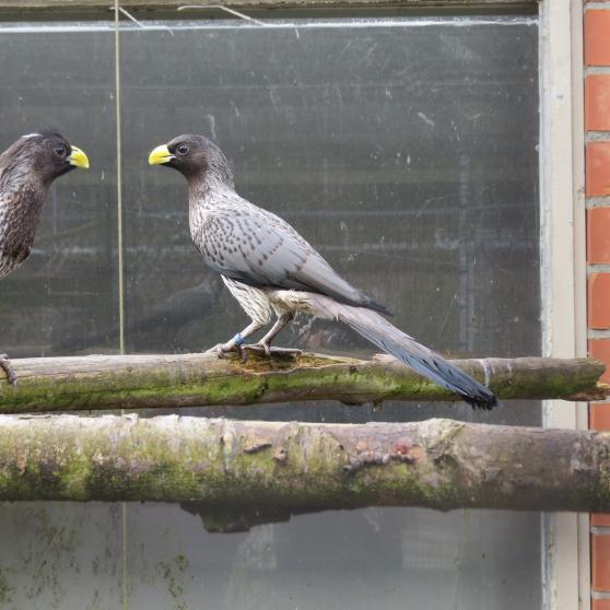 Gelukkig konden we na even wachten een zitplaats bemachtigen en