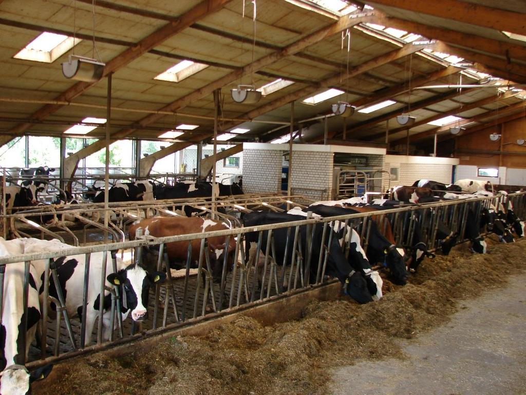 Situering: Het melkveebedrijf is gelegen aan de Noord Linschoterzandweg nabij Oudewater en aan het riviertje de Lange Linschoten. Een verbindingsriviertje tussen de Oude Rijn en de Hollandse IJssel.