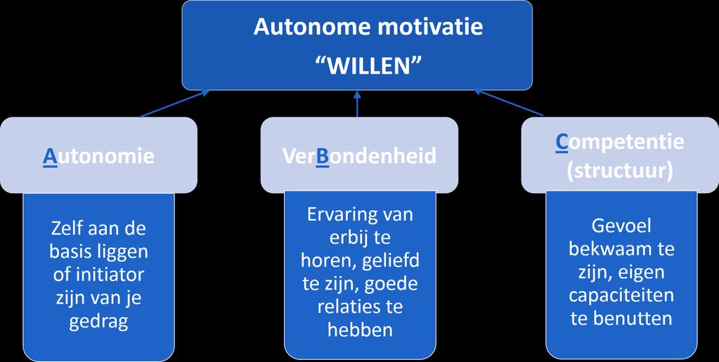 HOE AUTONOME (LEES)MOTIVATIE