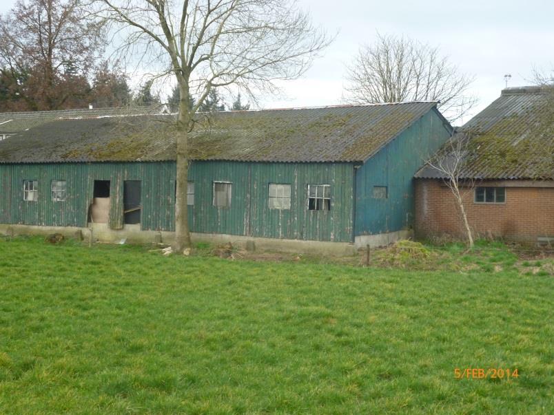 2. BEDRIJFSVOERING 2.1 HUIDIGE BEDRIJFSOMVANG Het bedrijf Mts. A. & H. van Dijk telt zoals vermeldt 45 stuks melkvee en 24 stuks jongvee en 812 rosévleeskalveren. Er zijn meerdere gebouwen aanwezig.