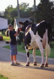 Maandag 8 oktober Bezoek aan Fokkerij organisatie ABS Global in DeForest, WI ABS is als fokkerij organisatie over de hele wereld bekend en heeft een rijke historie die terug gaat tot 1941.