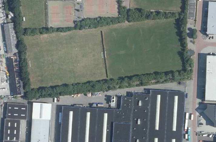 (bron: Provincie Overijssel). 2.2 Beschrijving van het plangebied Het plangebied bestaat uit sportveld en een groenstrook met opgaande bomen en struiken.
