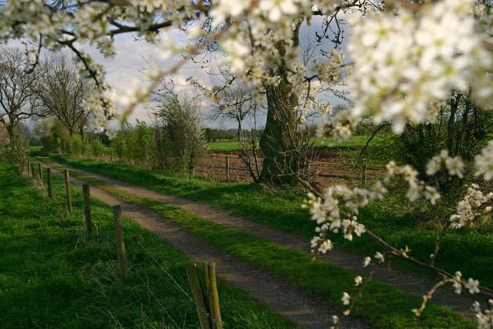 Soorten als geelgors, grasmus, boomleeuwerik en nachtegaal zijn meer aangewezen op besloten tot half-open landschappen met begroeiing van bosjes, houtwallen, heggen en struikopslag.