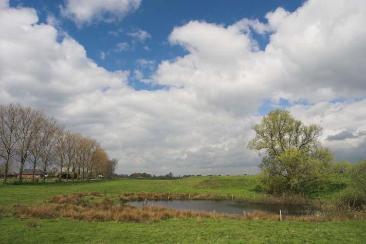 abiotische waarden zoals een hoge waterstand.